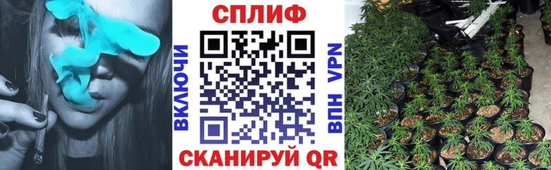 Где купить Ельня ГЕРОИН Марихуана Мефедрон Гашиш