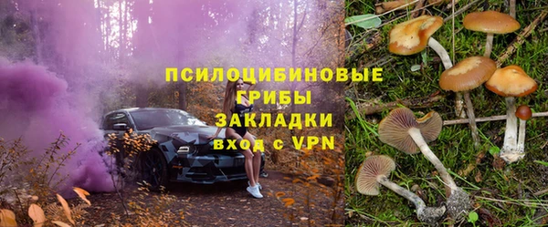 apvp Нефтегорск