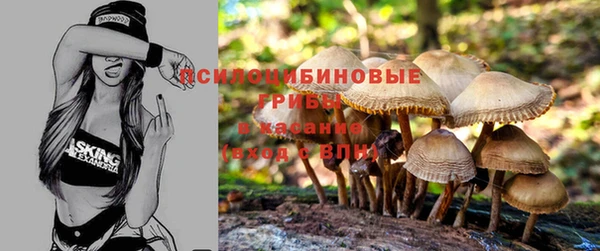 кристаллы Нефтекумск