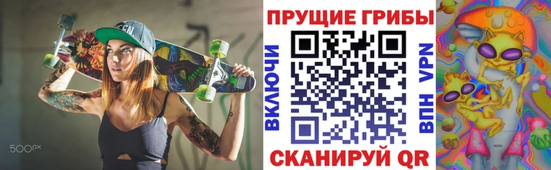 Галлюциногенные грибы Magic Shrooms  Ельня 